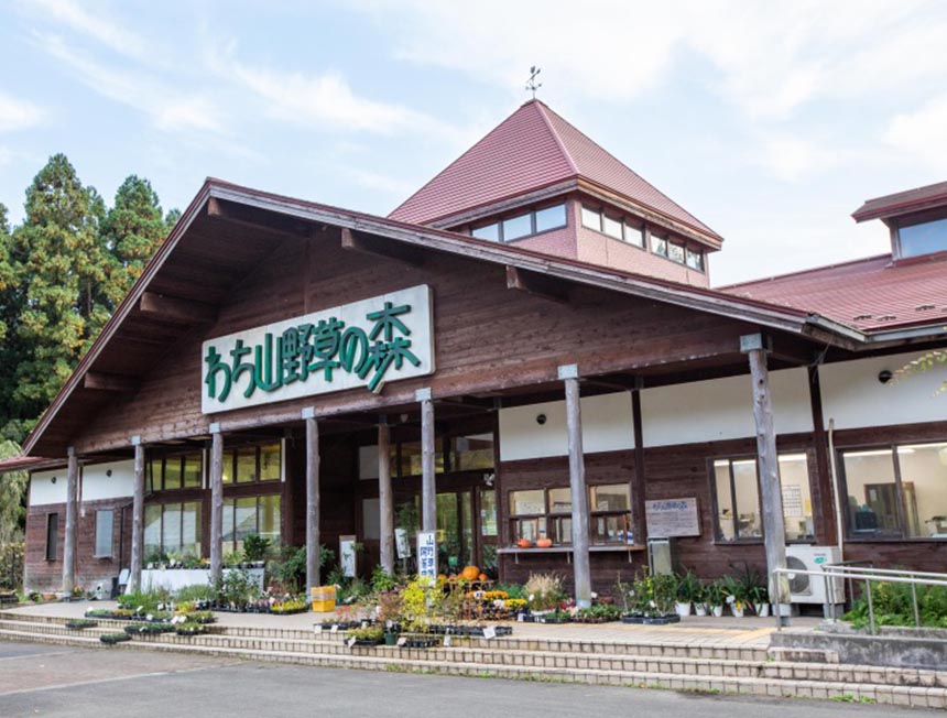 わち山野草の森