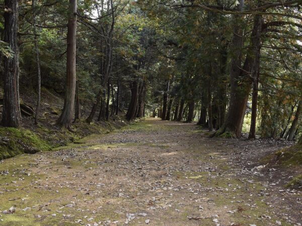 質美八幡宮 参道（しつみはちまんぐう さんどう）