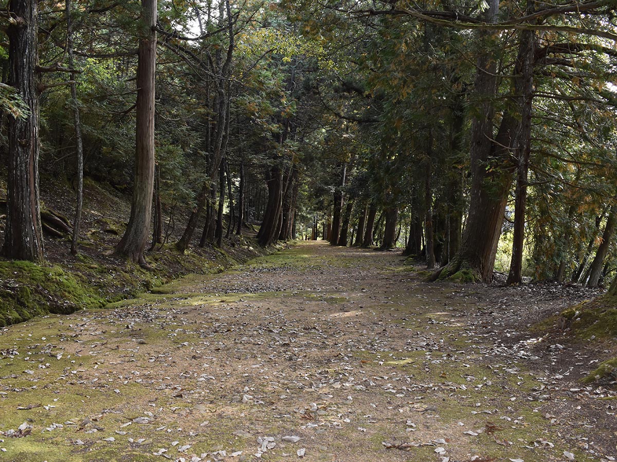 質美八幡宮 参道(しつみはちまんぐう さんどう)