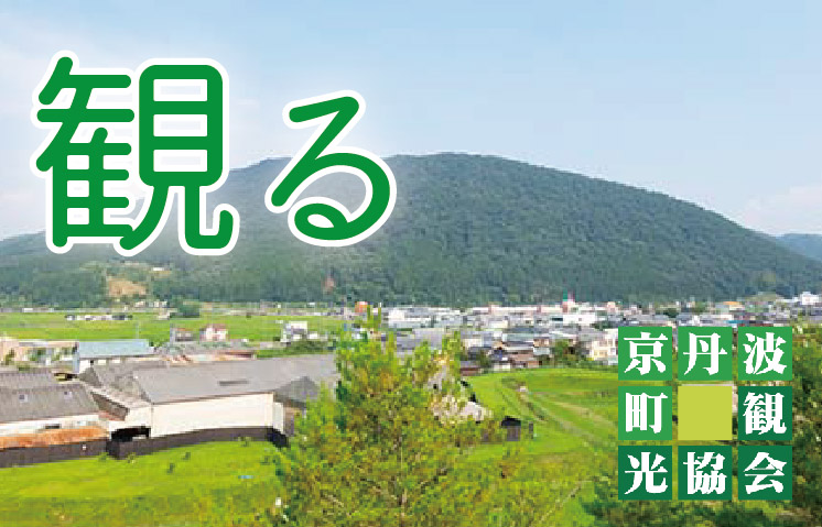 観る