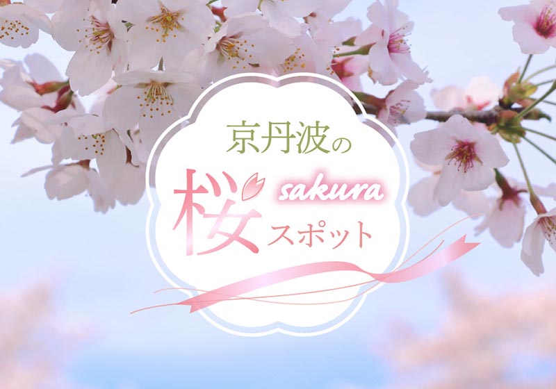 京丹波の桜スポット