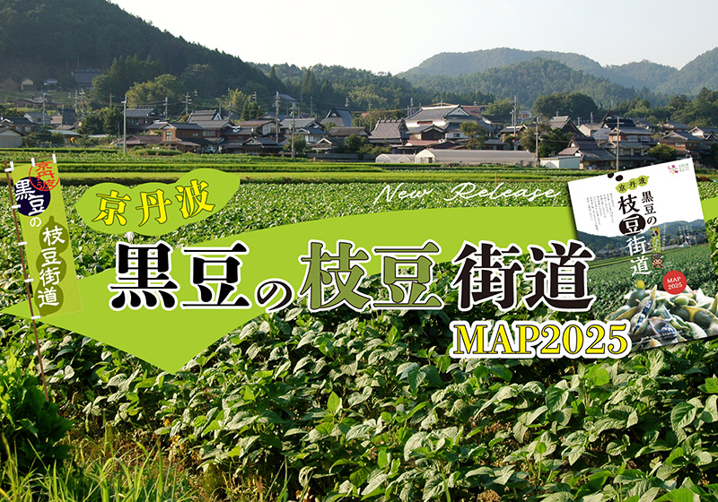 黒豆の枝豆街道マップ2025