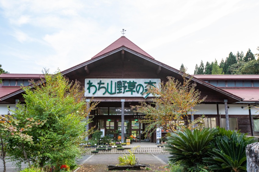 わ ち 山 野草 の 森