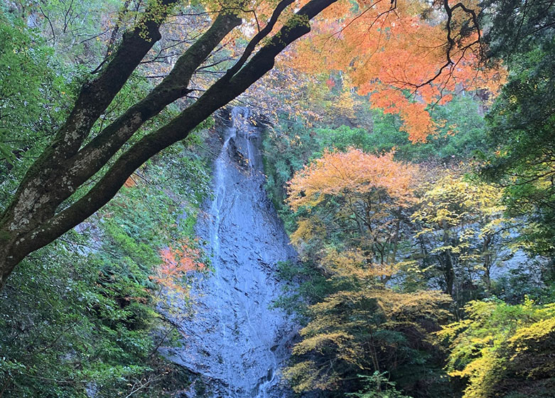 京丹波町紅葉観光スポット