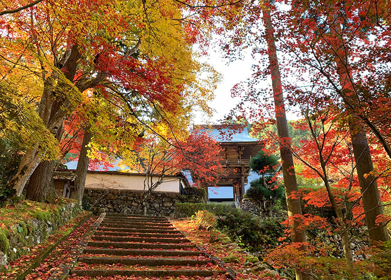 京丹波町紅葉観光スポット