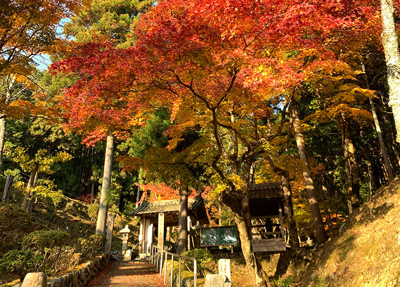 京丹波町紅葉観光スポット