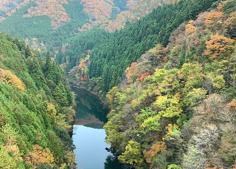 京丹波町紅葉観光スポット