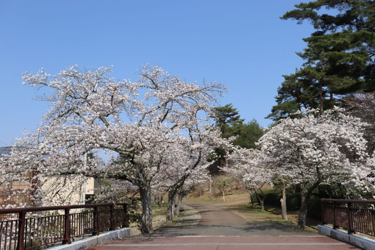 丹波自然運動公園