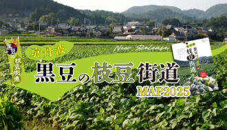 京丹波黒豆の枝豆街道MAP2025 を発行しました！