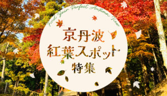 京丹波の紅葉スポットをご紹介します